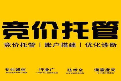 SEM竞价培训：案例分析及策略优化